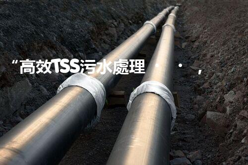 “高效TSS污水處理，守護(hù)碧水藍(lán)天新篇章”